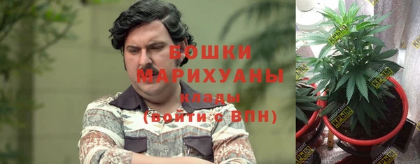 ПСИЛОЦИБИНОВЫЕ ГРИБЫ Сосновка