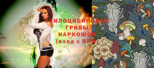 дурь Балахна